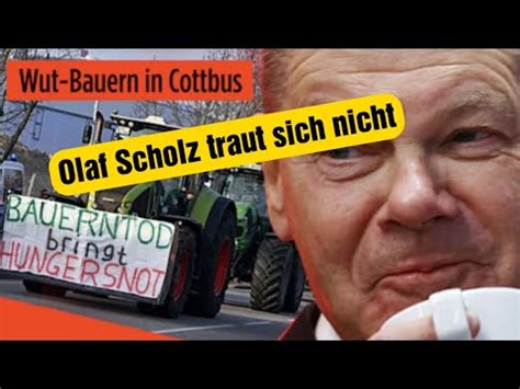 Cottbus Bauern Proteste Olaf Scholz Traut Sich Nicht Vor Den Leuten Zu