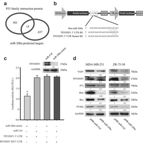 Overexpression Of Mir 200a Induced Chemoresistance Was Mediated Through