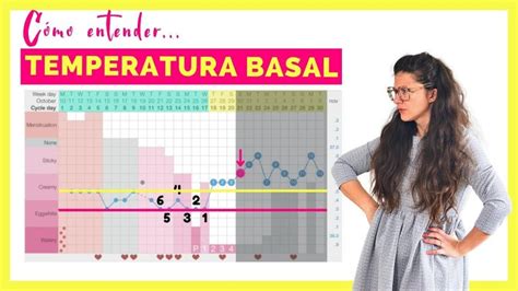 Cual Es La Temperatura Basal Para Quedar Embarazada 2025