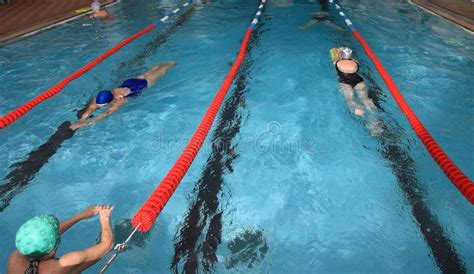 Recreation Groups Of Women Swimming In Indoor Public Swimming P