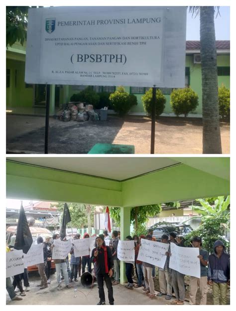 Diduga Menyalahi Aturan Lsm Kramat Demo Di Bpsbtph Provinsi Lampung