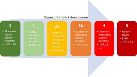 Five Stages Of Chronic Kidney Disease Based On The Estimated Glomerular