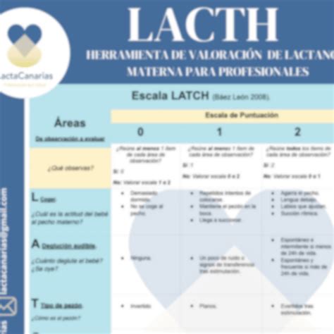 Infograf A Escala Lacht Lactacanarias