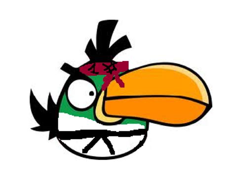 Karate Boomerang Bird | Angry Birds Fanon Wiki | Fandom