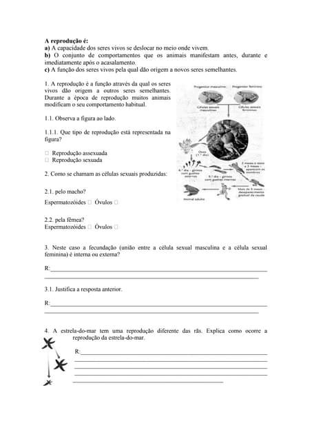 Ficha Ciências Da Natureza 5º Ano Pdf