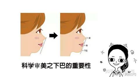 如何摆脱“土气”打造脸型的高级精致感—科学审美之下巴的重要性 知乎