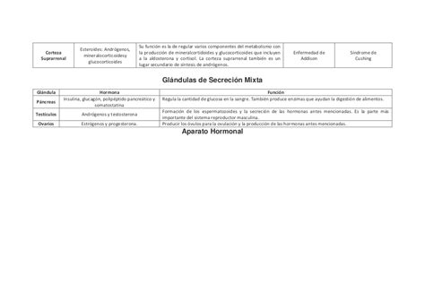 Tablas De Las Glandulas Biologiaestivenjmb The Best Porn Website