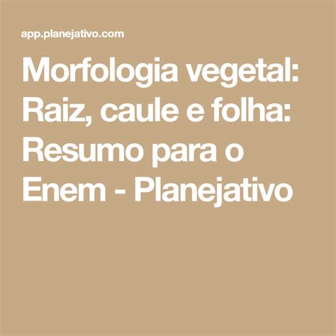 Morfologia Vegetal Raiz Caule E Folha Resumo Para O Enem