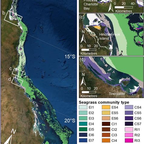 A Thirty Six Seagrass Communities Predicted For The Great Barrier Download Scientific Diagram