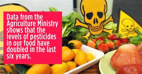 16 Reasons Why Pesticides Are Bad For Your Health - Indiatimes.com 