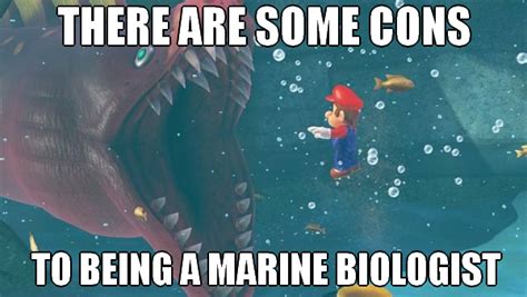 Oh God There Are Many Benefits To Being A Marine Biologist Know