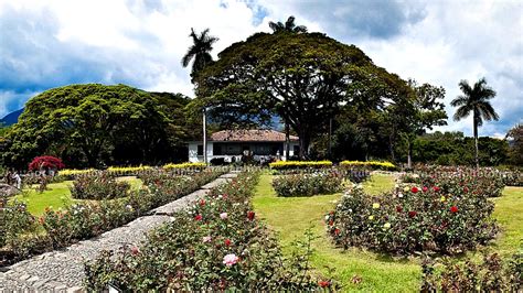 HACIENDA EL PARAÍSO COLPARQUES PARAÍSOS POR DESCUBRIR EN COLOMBIA