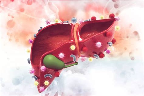 Liver Cancer Cases Deaths Estimated To Rise By Over 55 Per Cent By 2040 Health News Times Now