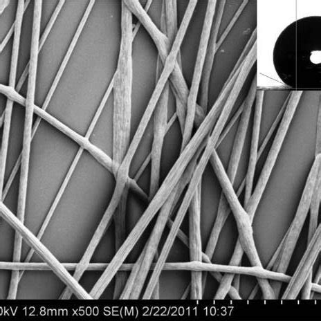 Sem Image Of Hydrophobic Polystyrene Ps Fibers Made From Polymer