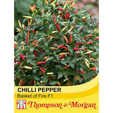 Chilli Pepper Basket Of Fire F Seeds Thompson Morgan