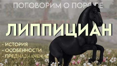 О ПОРОДЕ ЛИППИЦИАН / STAR STABLE ONLINE - YouTube