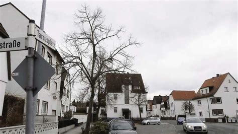 Gefahr durch Straßenbäume in Langen Stadt lässt fällen