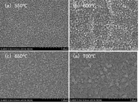 SEM Images Of The ZnO Thin Films