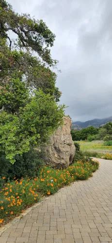 Best Hikes And Trails In Santa Barbara Botanic Gardens AllTrails