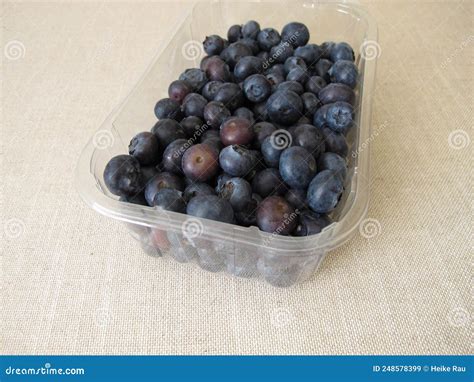 Blueberries In A Plastic Packaging Stock Image Image Of Waste Sales