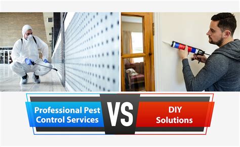 Why Hiring An Exterminator For Pest Control Is Beneficial