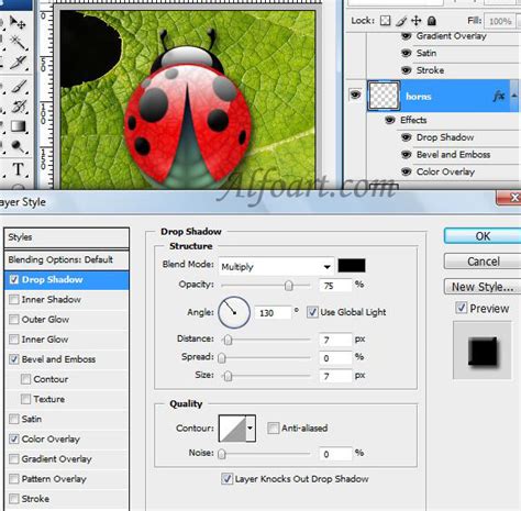 Ladybug graphic design in Adobe Photoshop