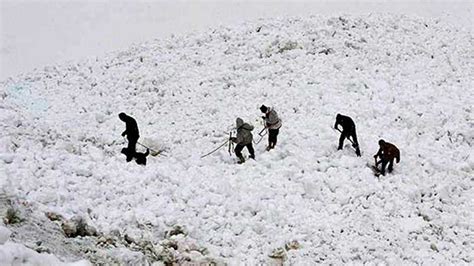 Army Soldier Goes Missing In Turtuk On The Siachen Glacier After