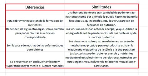 Cuadro Comparativo Lista De Semejanzas Y Diferencias Entre Los Seres