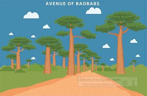 Africa Clipart Avenue Of The Baobabs Madagascar Africa Clipart