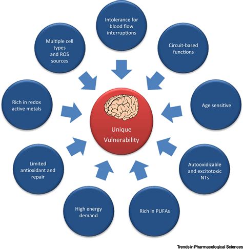 Targeting Oxidative Stress In Central Nervous System Disorders Trends