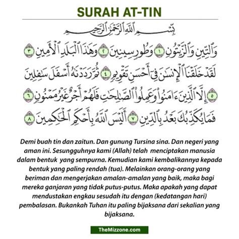 Kelebihan Surah At Tin Rumi Dan Terjemahannya The Mizzone