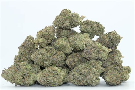 Ice Cream Mints - Dr.Ganja