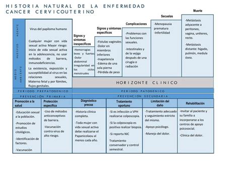 Historia Natural de la Enfermedad Cáncer Cervicouterino PABLO TINOCO