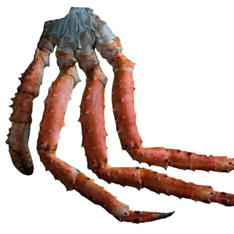 King Crab Leg Ll Size 500g Greenwood Fish Market