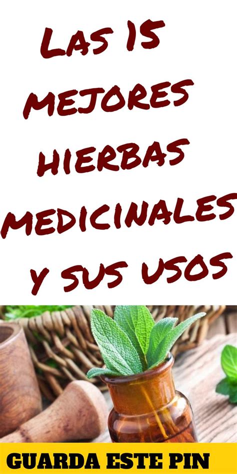 Las 15 Mejores Hierbas Medicinales Y Sus Usos Natural Remedies