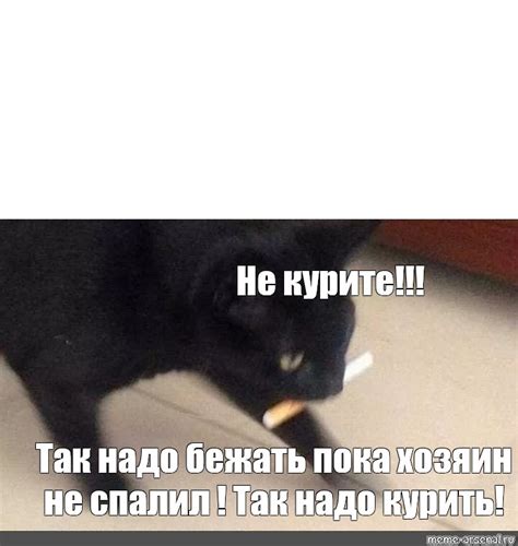 Meme: "Не курите!!! Так надо бежать пока хозяин не спалил ! Так надо ...