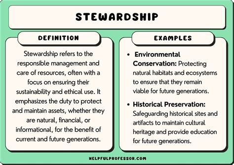 25 Stewardship Examples 2024