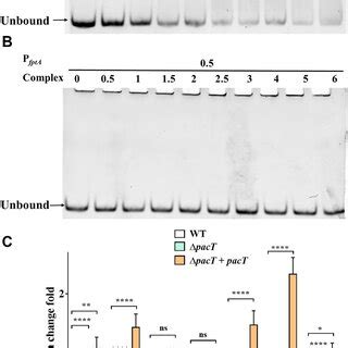 Pact Binds To The Dna Binding Domain Of Fur A Genes Involved In Iron