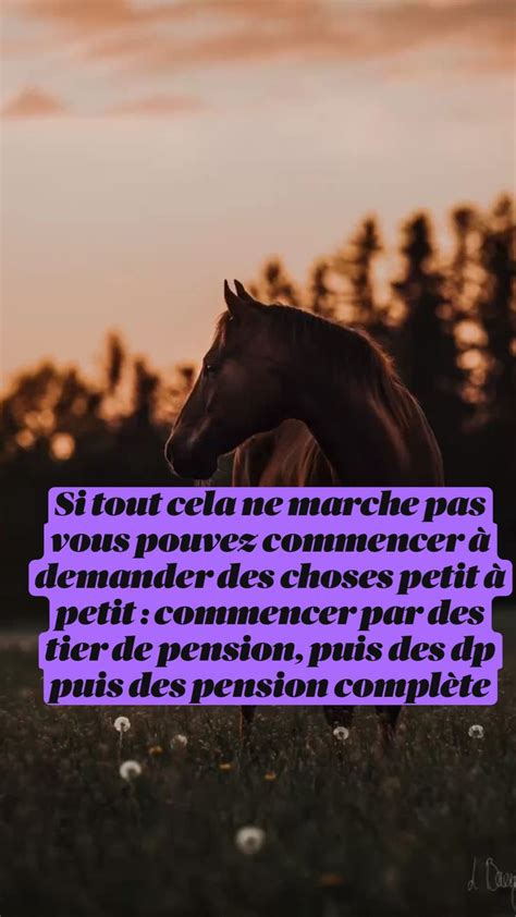 Comment Convaincre Ses Parents Davoir Un Cheval Cheval Mode De