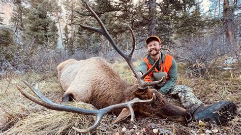 Point Down Brenten S First Colorado Elk Hunt S E Limitless