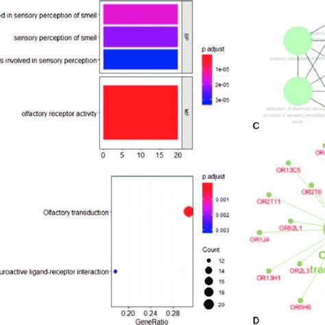 Enrichment Analysis Of The Degs Using Cluster Profiler R Package A