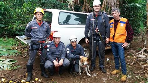 Cachorro é resgatado após ficar dois dias preso em paredão de 200