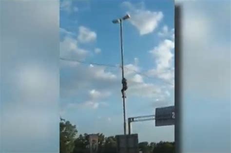 Video se trepó a un poste de luz a robar cables en plena