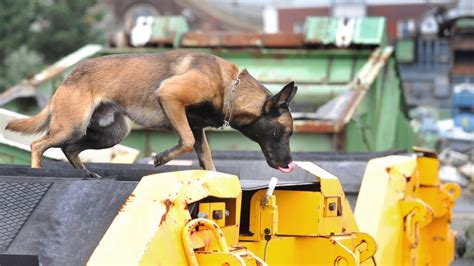 Polizei zerschlägt Drogenring und stellt mehrere Kilo sicher