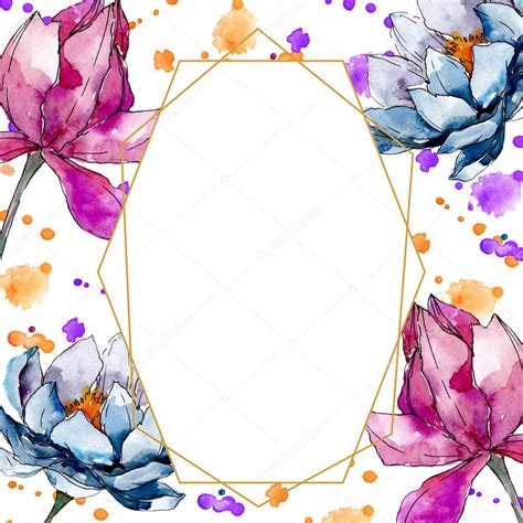 Flor Nica Floral De Loto Conjunto De Ilustraci N De Fondo Acuarela