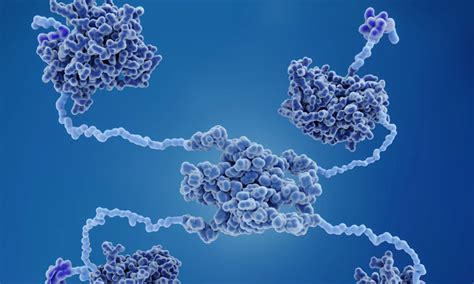 Scientists pinpoint how mutant p53 protein promotes cancer