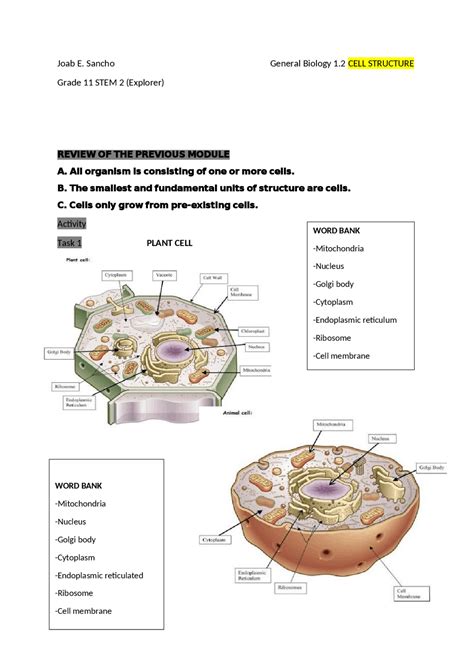 Plant Cell And Animal Cell Exercises Biology Docsity Worksheets