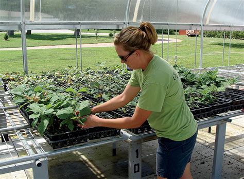 Nebraska Nursery Industry Is Branching Out Farm Flavor