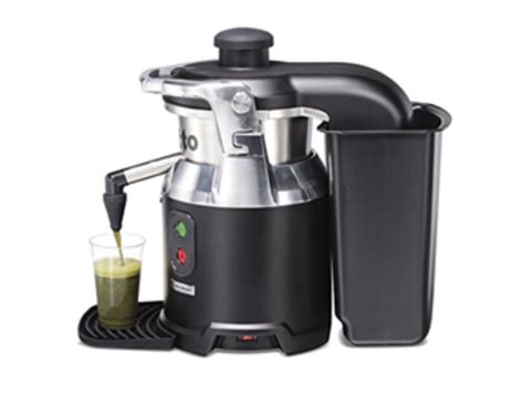 The Best Commercial Juicer For Your Home Business Juice Guru Institute