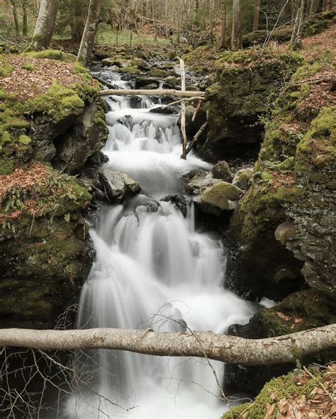 Les Cascades D Couvrir Pour Un Moment Magique Dans Le Parc Des